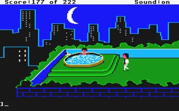 Leisure Suit Larry 1 - In the Land of the Lounge Lizards (remake)_Disk3 screen shot game playing
